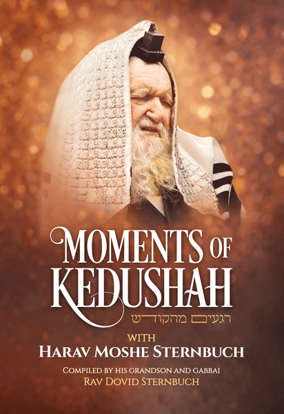 Moments of Kedushah — book | Judaica Square Lakewood