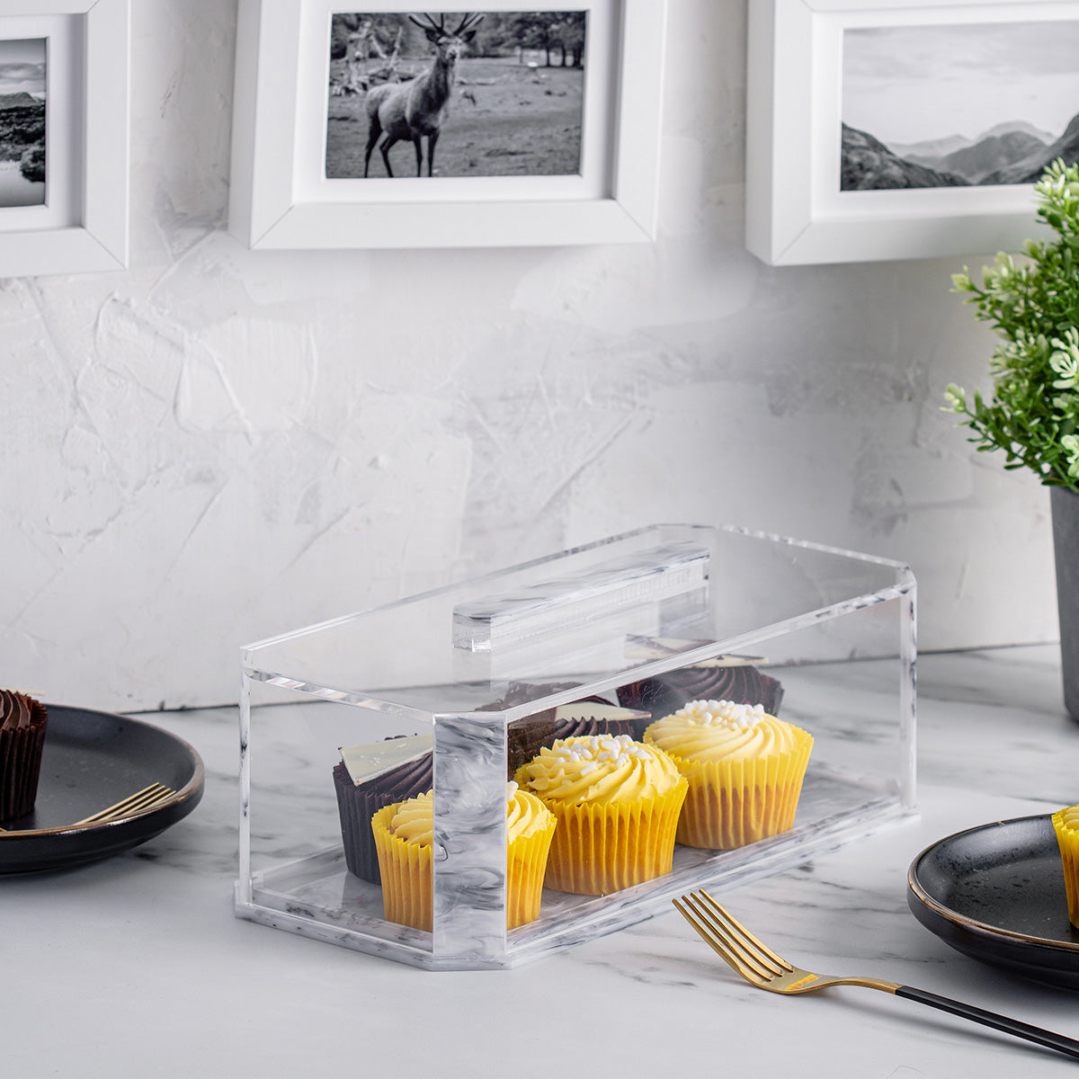 Cake Log Holder — Cake Holder | Judaica Square Lakewood