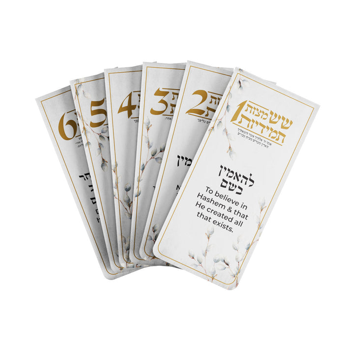Willow Six Constant Mitzvahs Magnet Pack — Mitzvos Card | Judaica Square Lakewood