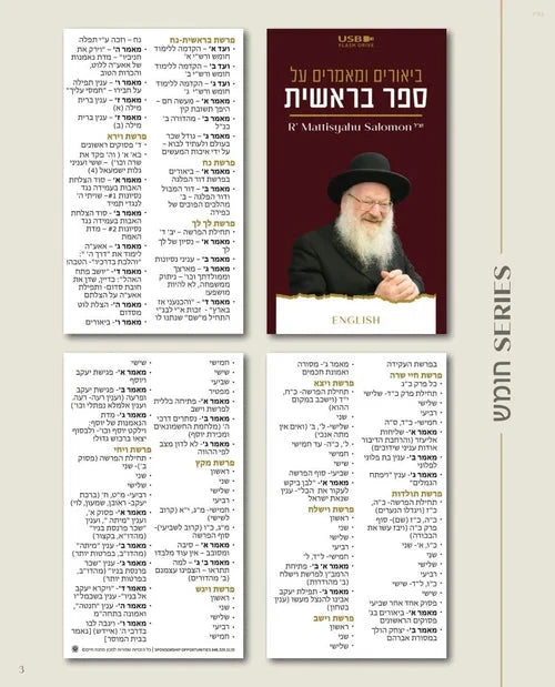 The R' Mattisyahu Salomon Collection (US