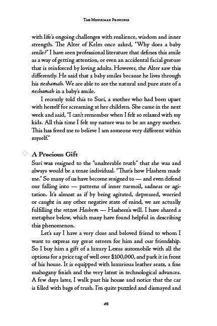 The Menuchah Principle -- For Life by Shaya Ostrov, L.C.S.W — Judaica Press (image 9)