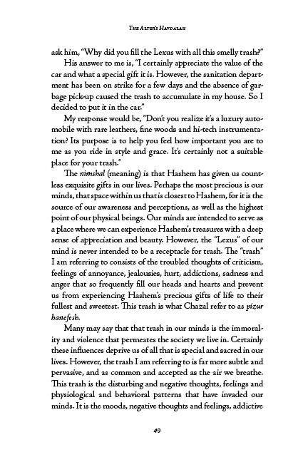 The Menuchah Principle -- For Life by Shaya Ostrov, L.C.S.W — Judaica Press (image 11)