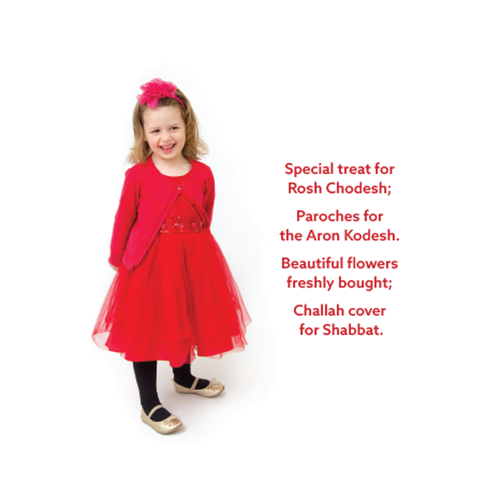 My First Colors Through a Jewish Lens — Judaica Press (image 2)