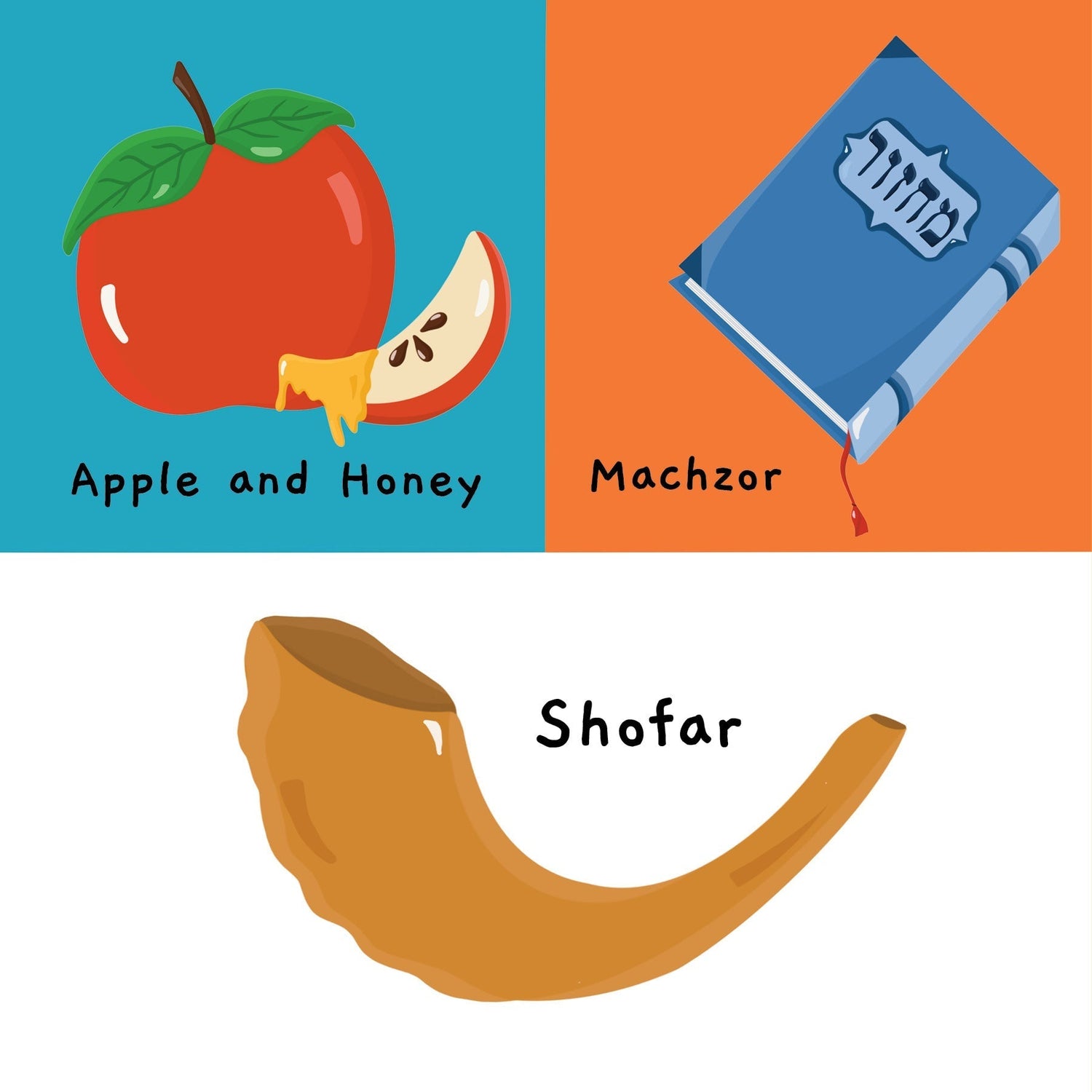 My First Jewish Word Book — Judaica Press (image 4)