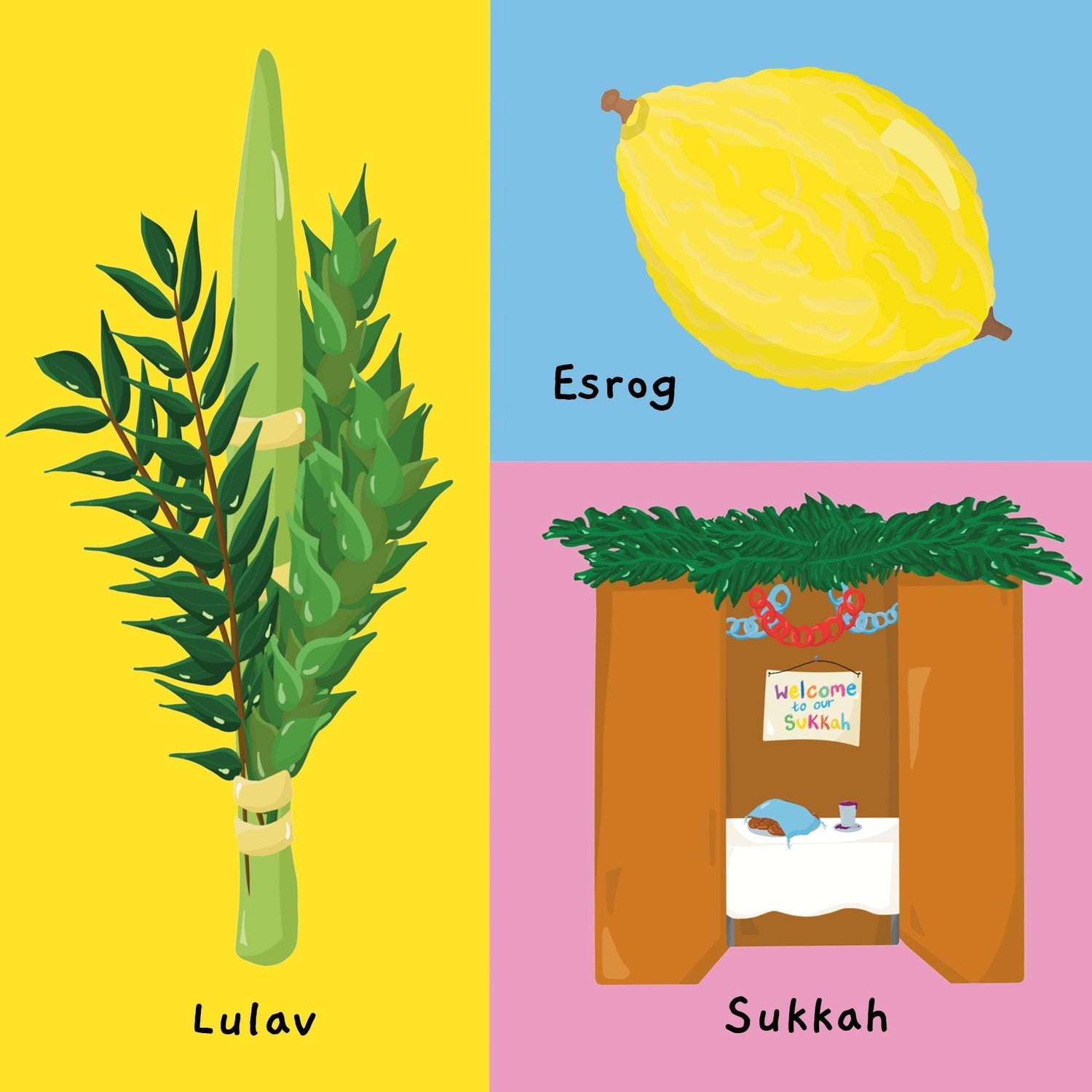 My First Jewish Word Book — Judaica Press (image 5)