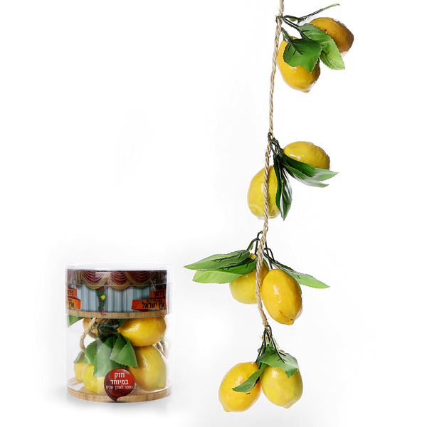 Mefoar Noy Sukkah, Esrogim On a Vine - Sukkah Decorations