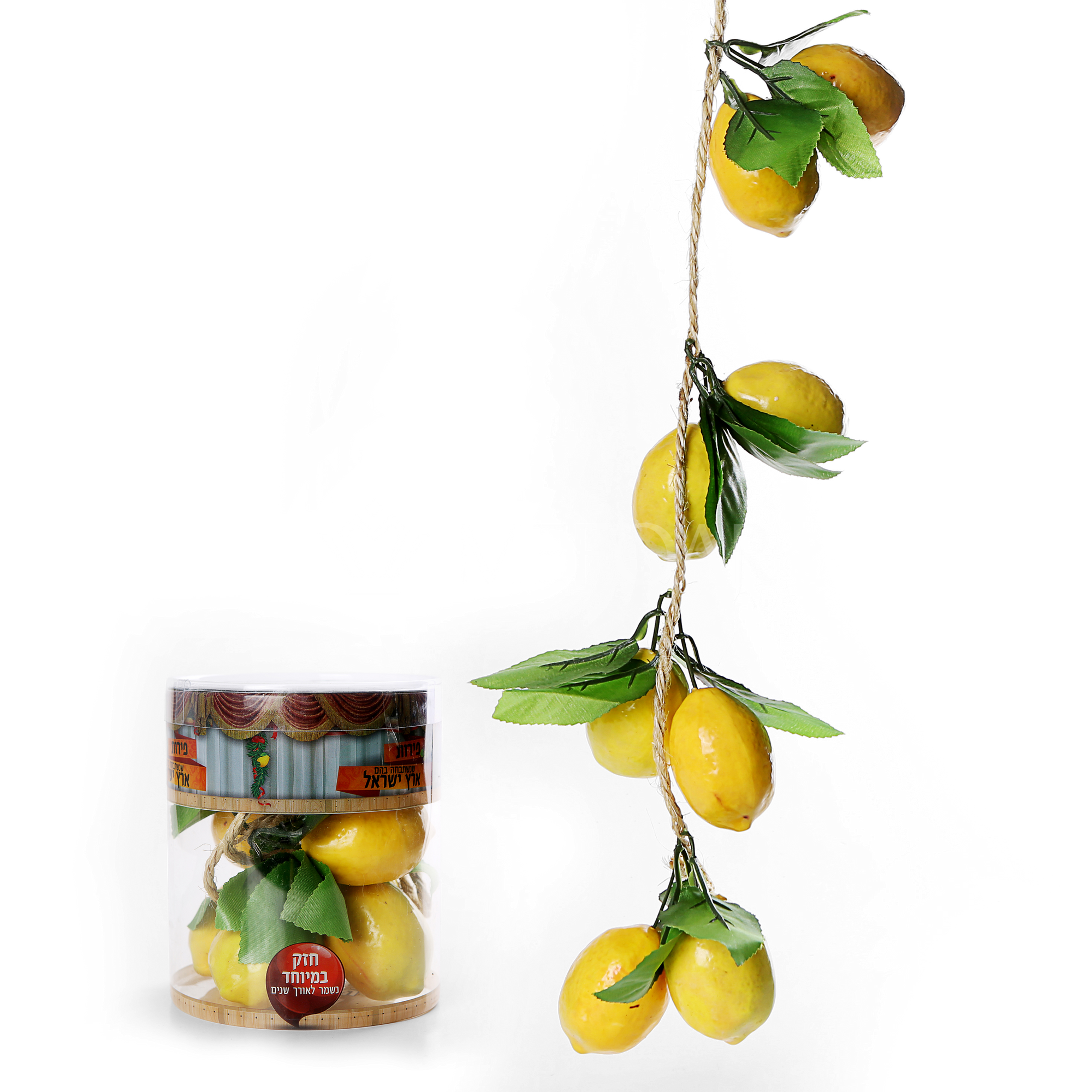 Mefoar Noy Sukkah, Esrogim On a Vine - Sukkah Decorations