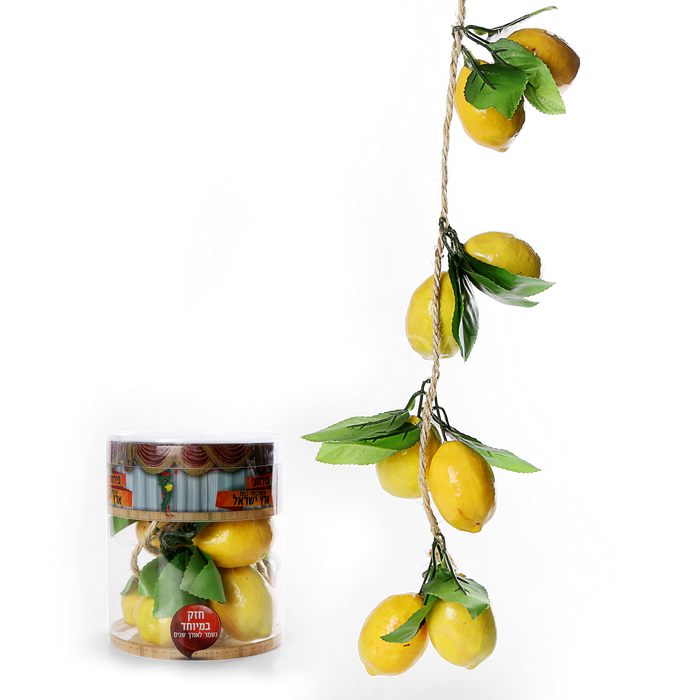 Mefoar Noy Sukkah, Esrogim On a Vine - Sukkah Decorations