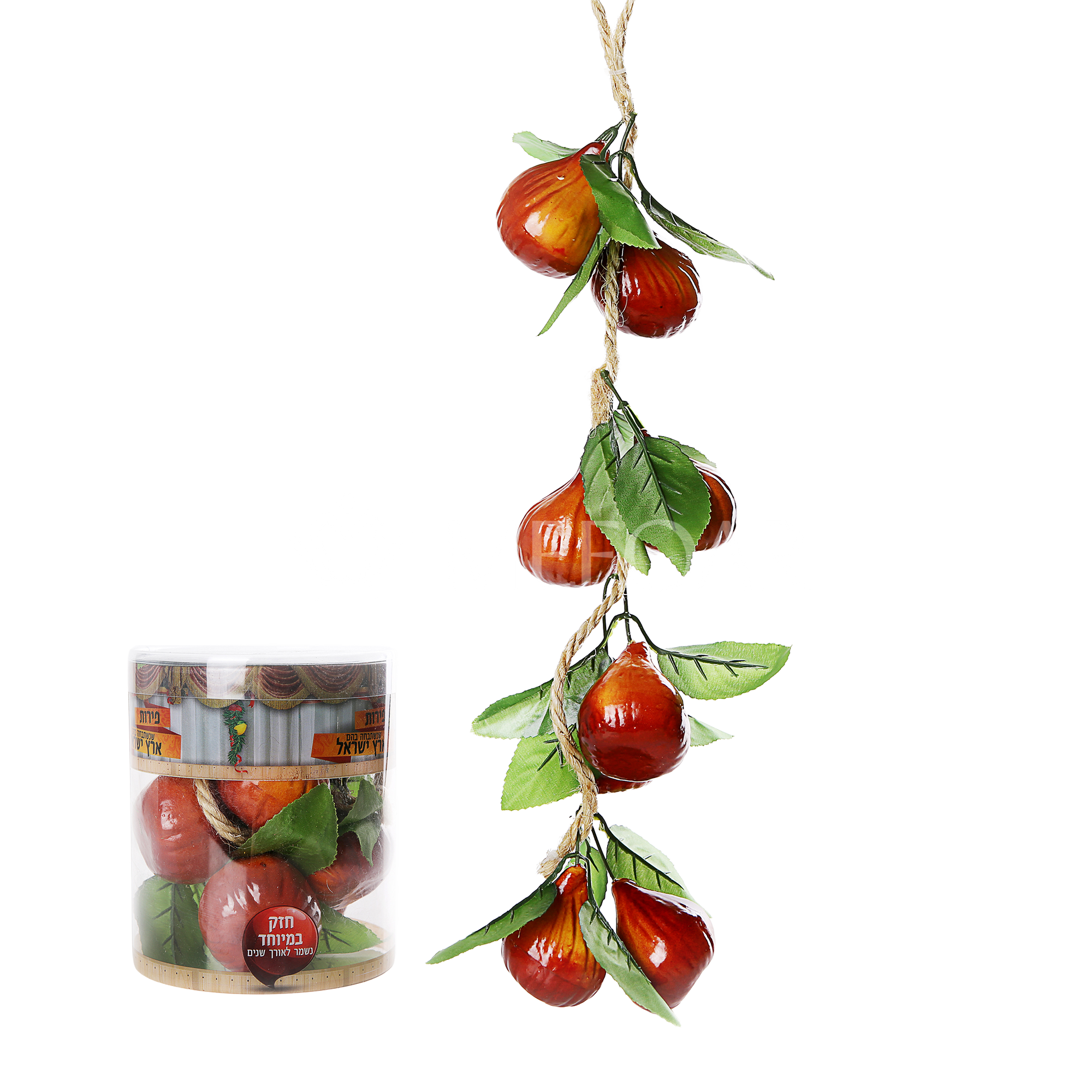 Mefoar Noy Sukkah, Dates On a Vine - Sukkah Decorations