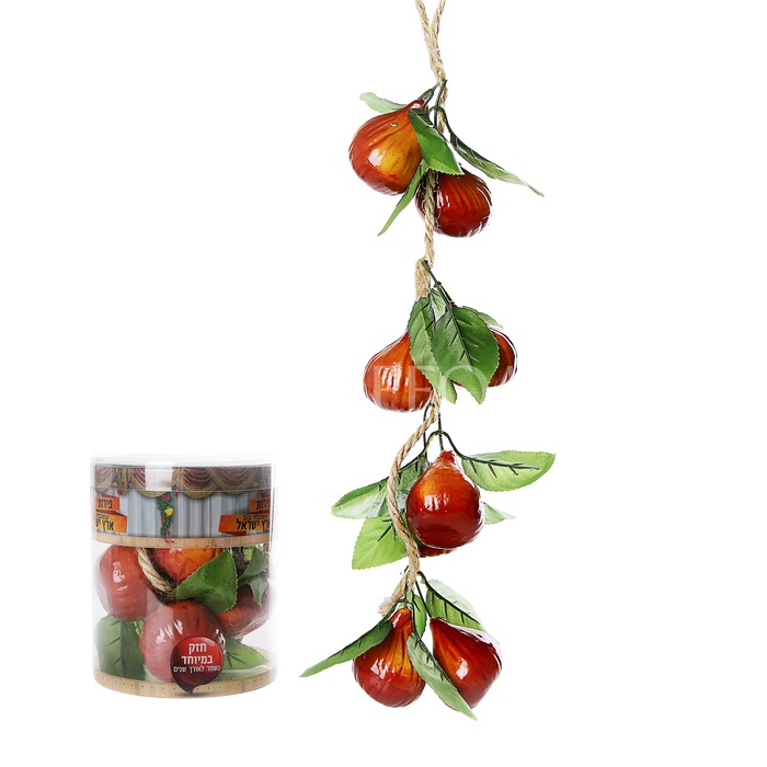 Mefoar Noy Sukkah, Dates On a Vine - Sukkah Decorations