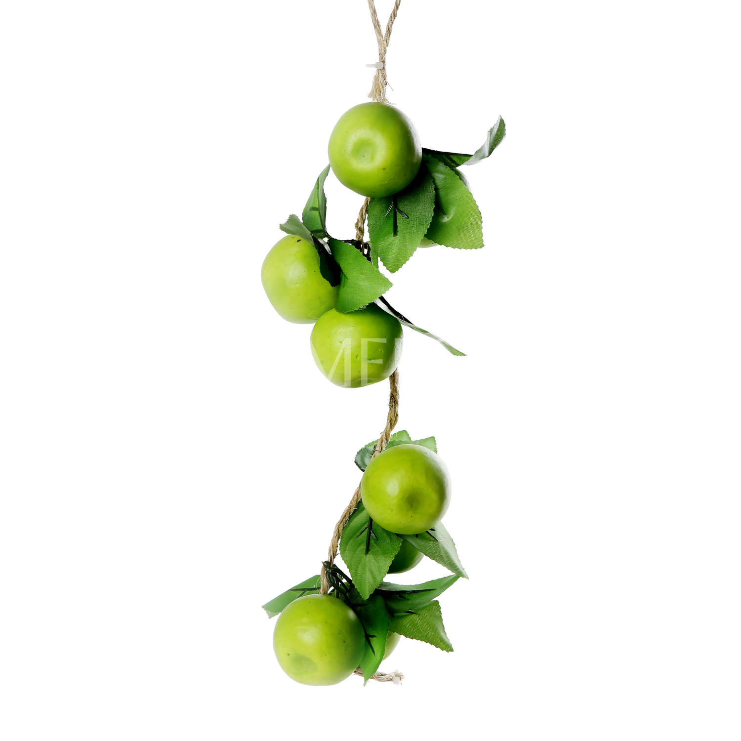 Noy Sukkah, Green Apples On a Vine - Image 2