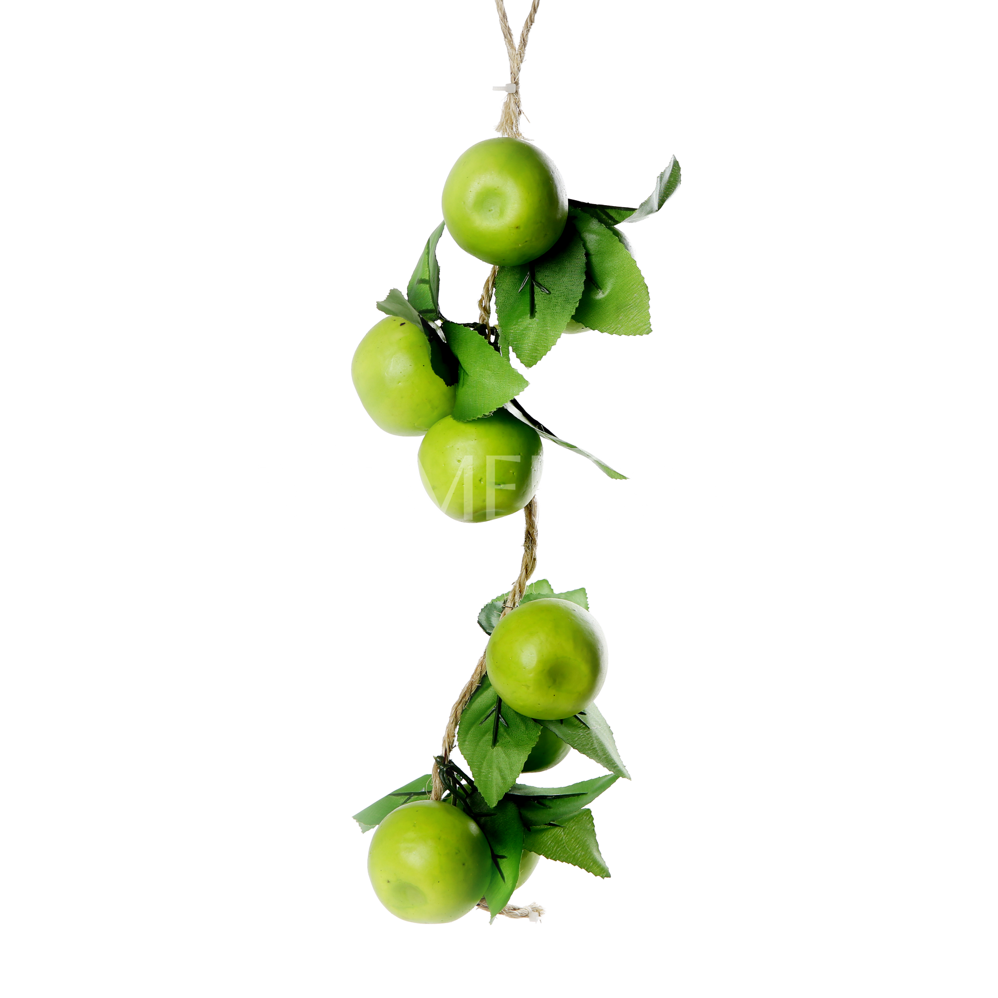 Noy Sukkah, Green Apples On a Vine - Image 2
