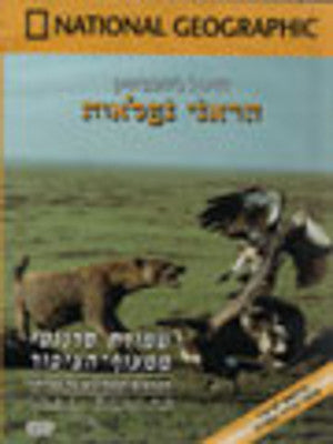 National Geographic - Scenes of the Africa Wildlife (DVD) — Jewish music DVD | Judaica Square Lakewood