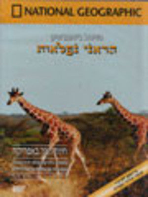 National Geographic - Wildlife in Africa (DVD) — Jewish music DVD | Judaica Square Lakewood