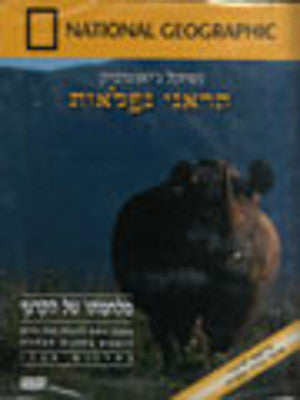 National Geographic - The Wars of the Rhinoceros (DVD) — Jewish music DVD | Judaica Square Lakewood