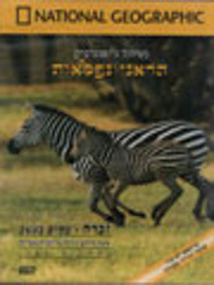 National Geographic - The Zebra (DVD) — Jewish music DVD | Judaica Square Lakewood