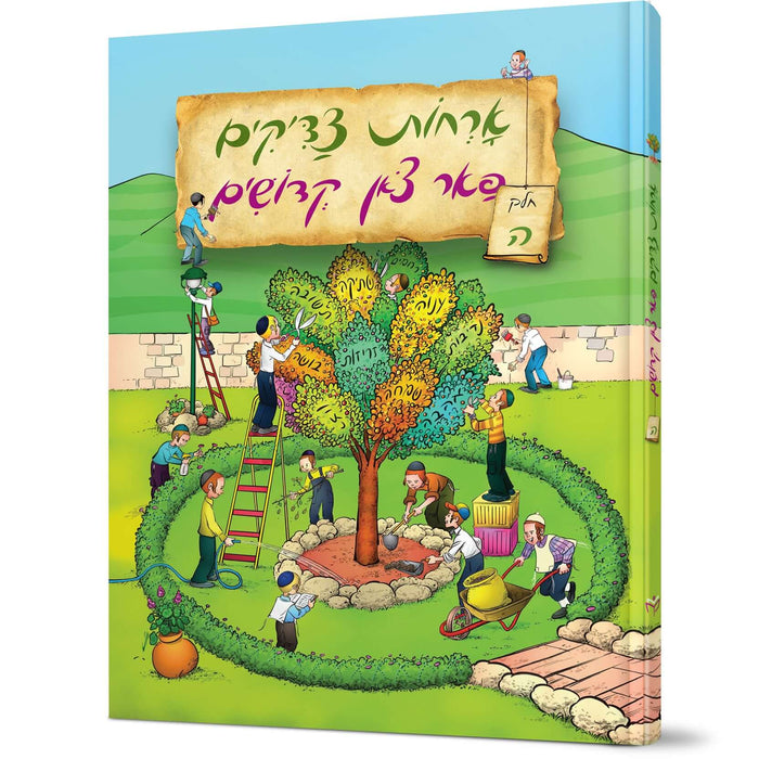Orchos Tzaddikim Far Tzon Kedoshim #5 — Avraham Ohayon hardcover | Judaica Square Lakewood