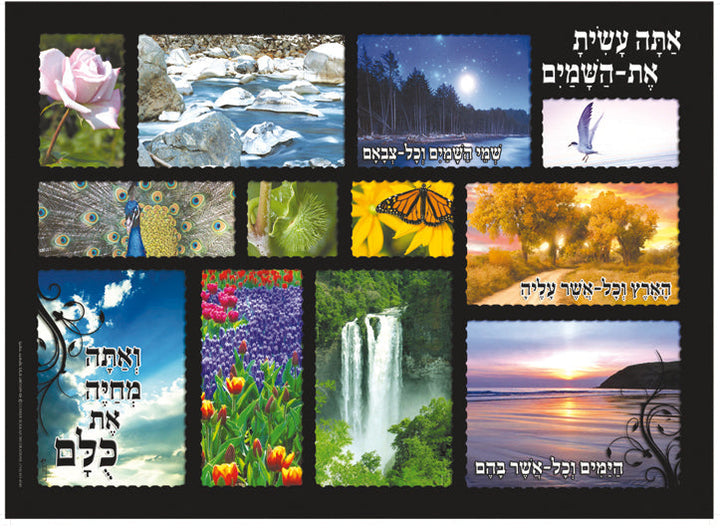 Laminated Poster 20" x 28"-- Nechemiah