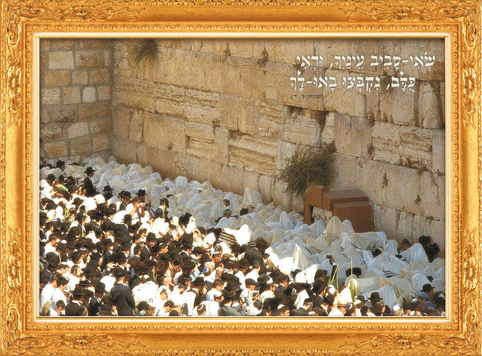 Laminated Poster 20" x 28"-- Ushpizin (P536)
