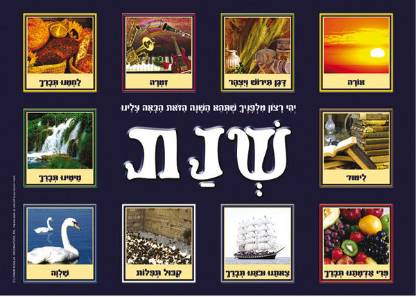 Laminated Poster 20" x 28"--New Year (P625)
