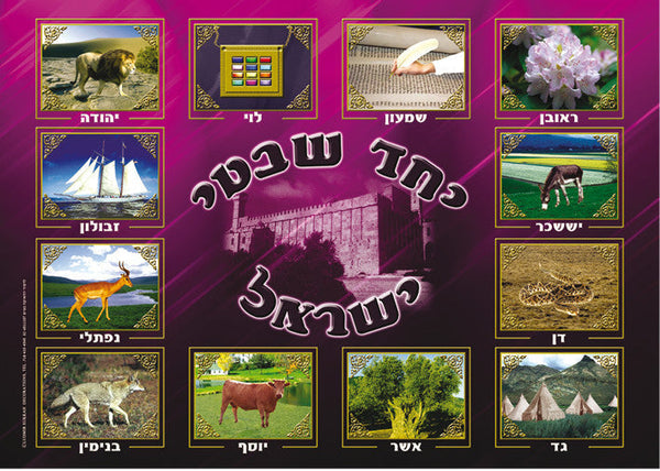 Laminated Poster 20" x 28"-- Shevatim (P626)
