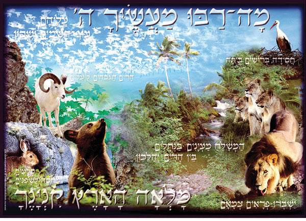Laminated Poster 20" x 28"-- Ma Rabu (P628)