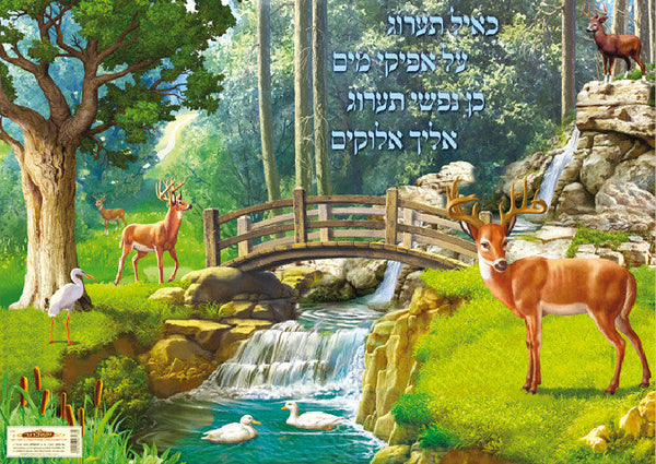 Laminated Poster 20" x 28"-- Tehillim (P703)