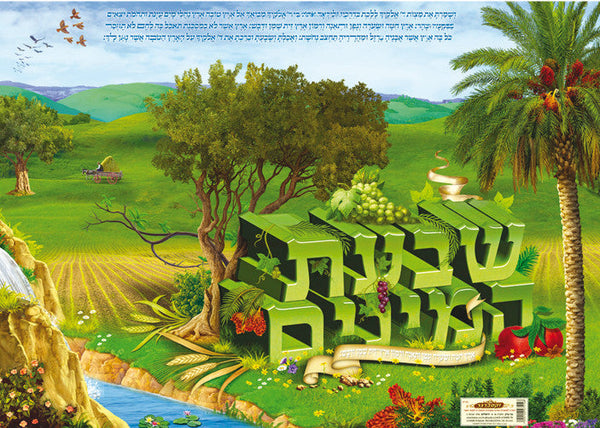 Laminated Poster 20" x 28"-- Shivat Haminim (P745)