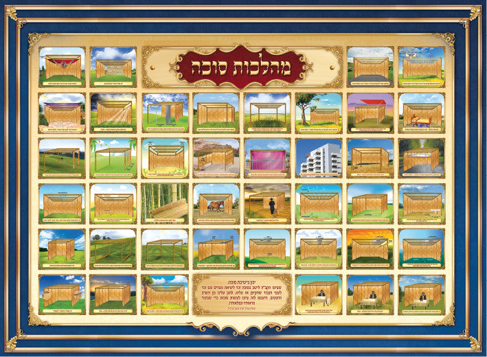 Laminated Poster 20" x 28"--Hilchot Sukkah (P834)