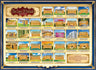 Laminated Poster 16" x 21"-- Laws of Sukkah (P835-S)