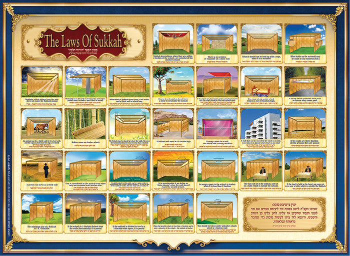 Laminated Poster 20" x 28"--Laws of Sukkah (P835)