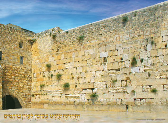 Laminated Poster 20" x 28"-- Kotel