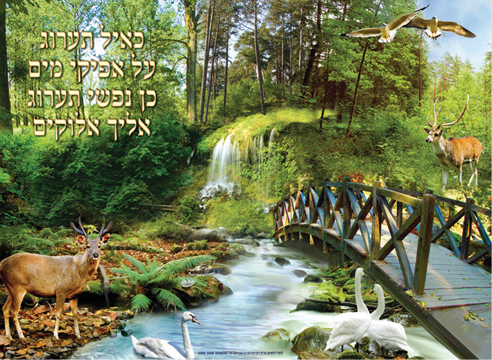 Laminated Poster 20" x 28"-- Tehillim