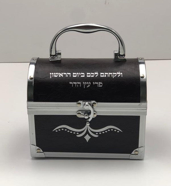 Hard Treasure Chest Esrog Box-- Leather Look (ES-12139)