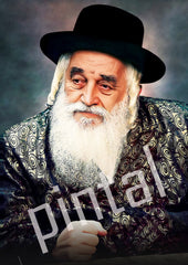 Succah Poster: Vinyl Waterproof - Viznitz Rebbe