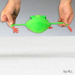 Passover Squoosh Frog