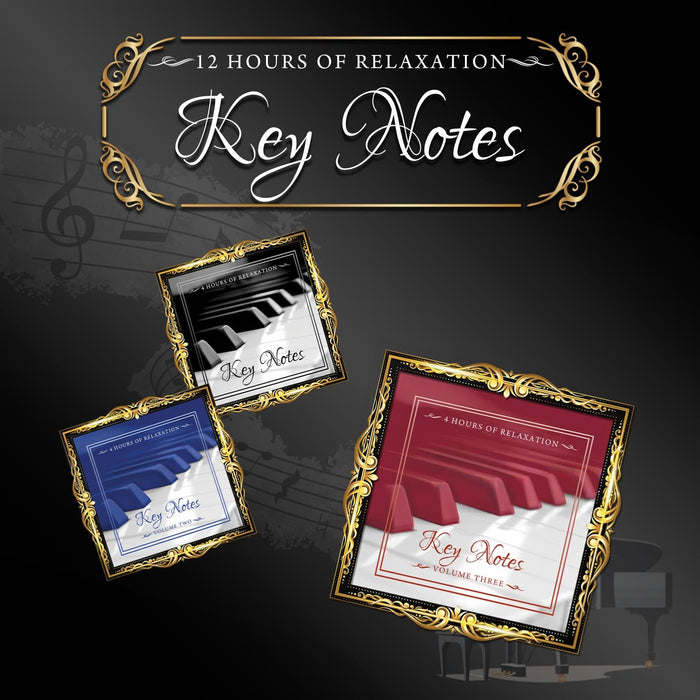 Aressi Pro - Key Notes Vol. 1-3 (USB) — Jewish music USB | Judaica Square Lakewood