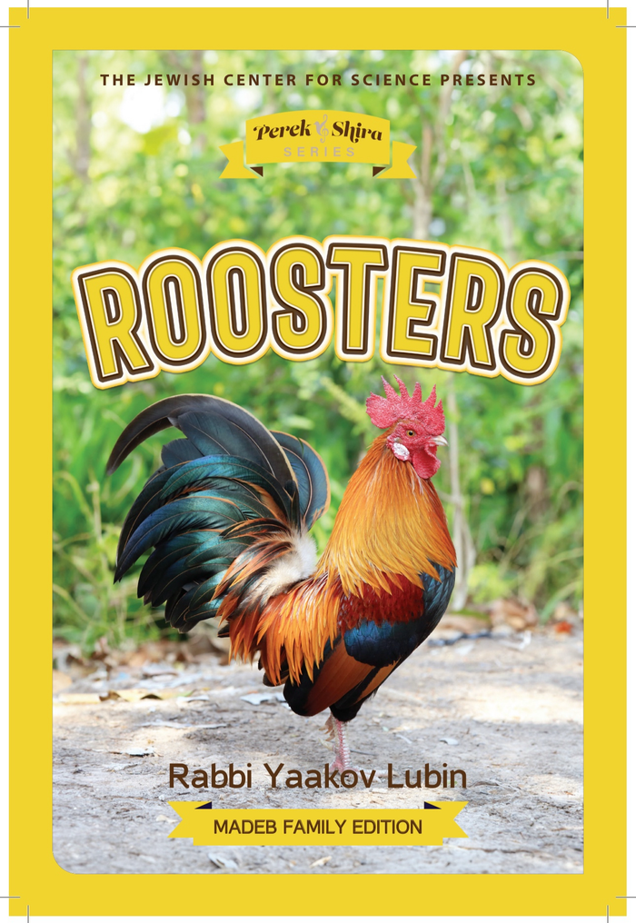 Perek Shira Series: Roosters — illustrated children's book by Rabbi Yaakov Lubin | Judaica Square Lakewood