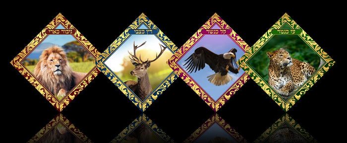 Crystal Crafts Rotz Katzvi — Craft Kit by Chazak Kinder | Judaica Square Lakewood