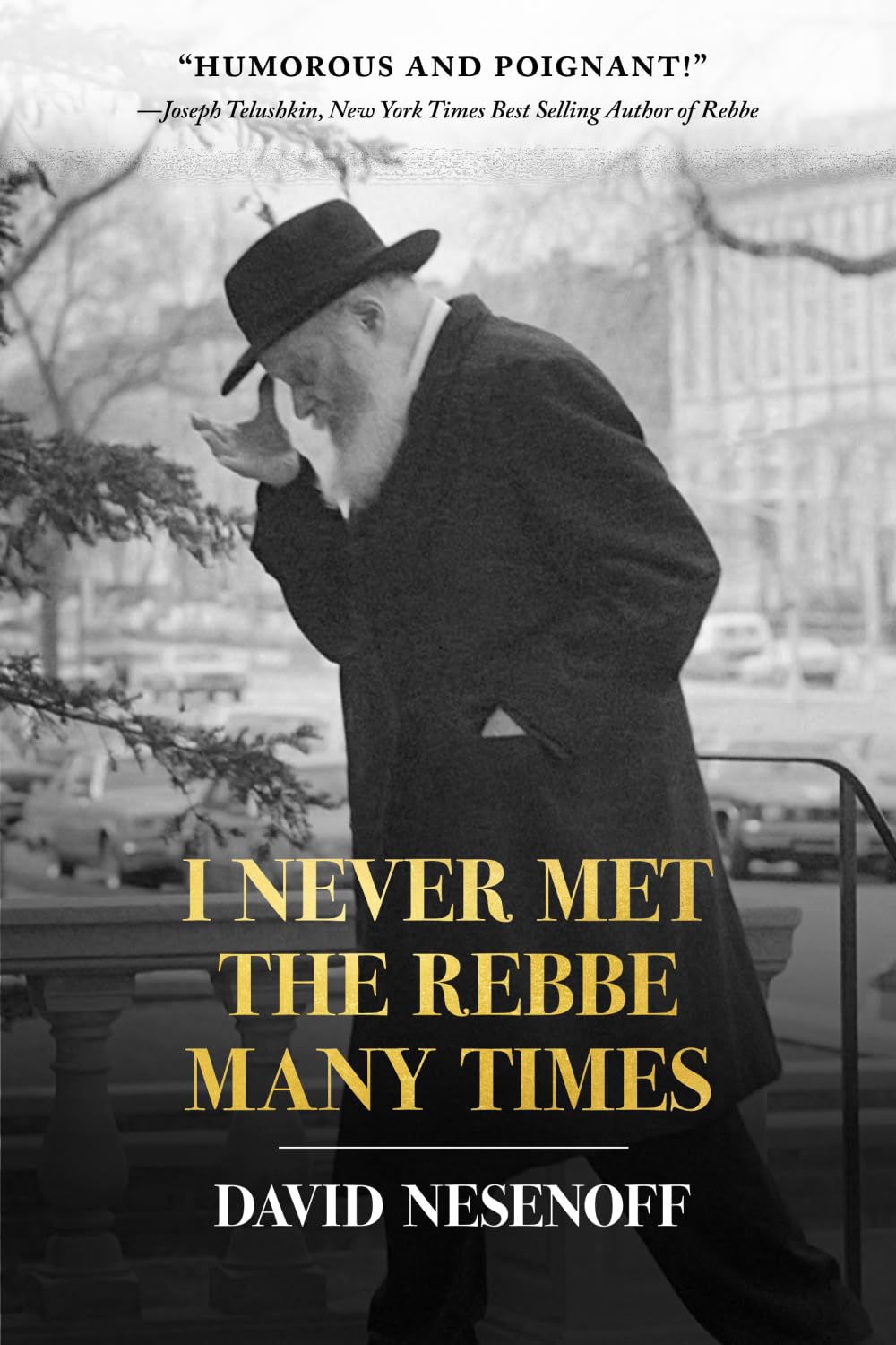 I Never Met The Rebbe Many Times