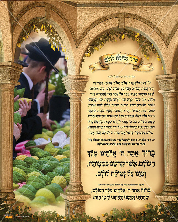 Netilas Lulav Vinyl Sukkah Poster — 24 × 30 in, PKL38