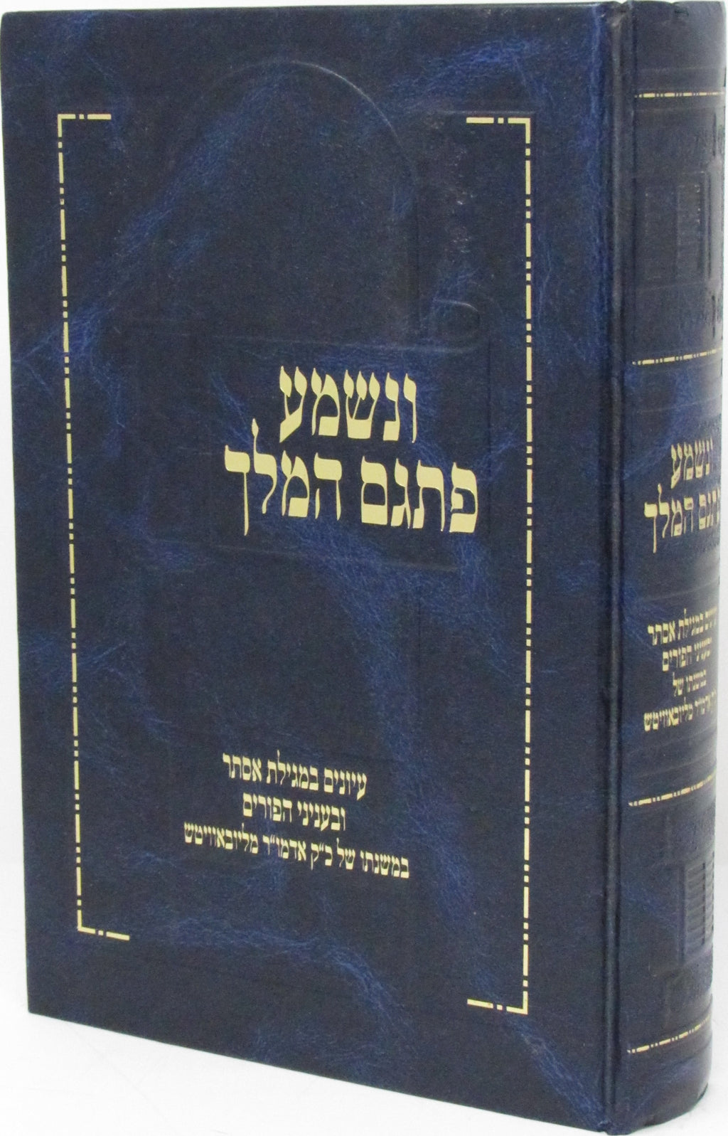 Venishma Pisgam HaMelech B'Inyunei Megillas Esther U'Binyunei HaPurim - ונשמע פת