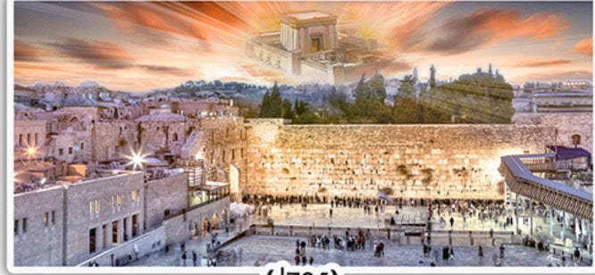 Moshiach-Night- 20" x 40" - Frame