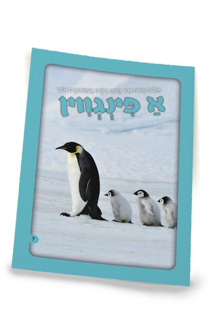 A Penguin | Judaica Square Lakewood