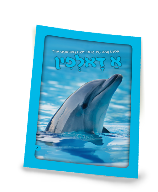 A Dolphin | Judaica Square Lakewood
