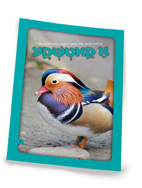 A Duck | Judaica Square Lakewood
