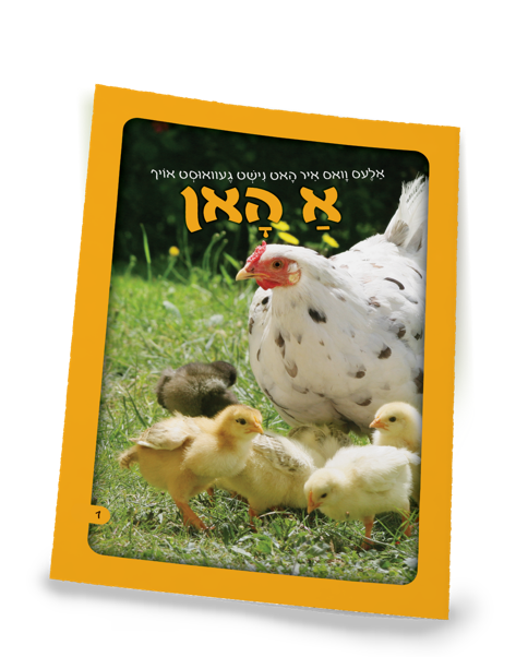 A Rooster | Judaica Square Lakewood