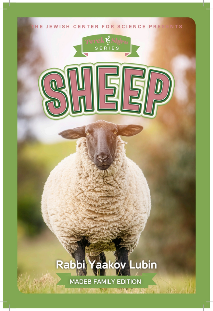 Perek Shira Series: Sheep — illustrated children's book by Rabbi Yaakov Lubin | Judaica Square Lakewood