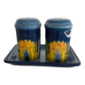 Salt and Pepper Shakers with Tray, Karshi Ceramic, Jerusalem, Colored, angled view