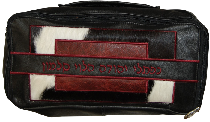 Prestige Custom Leather Tallit & Tefillin Bag — Colorblock & Travel Design (TB585I-BG)